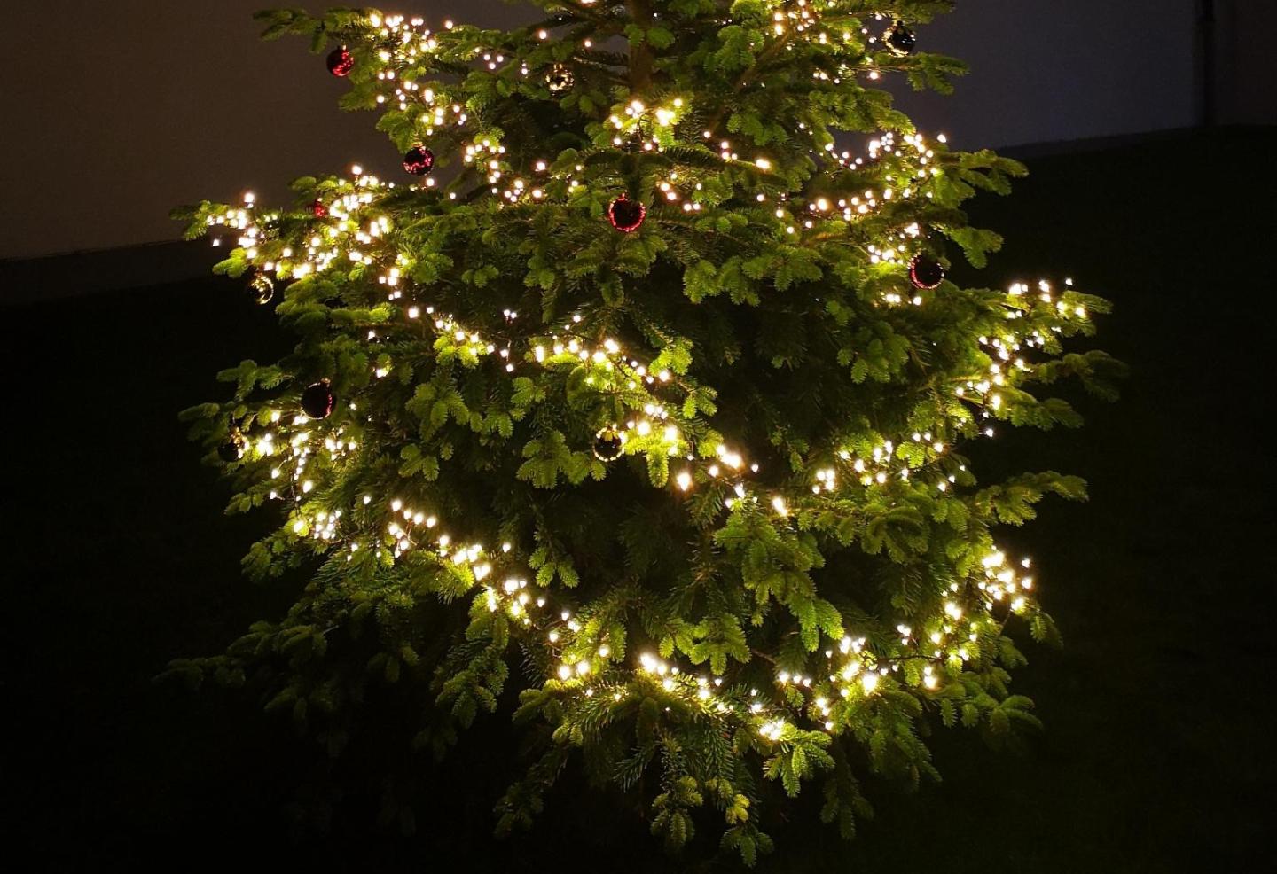 Weihnachtsbaum in St. Michael Begau